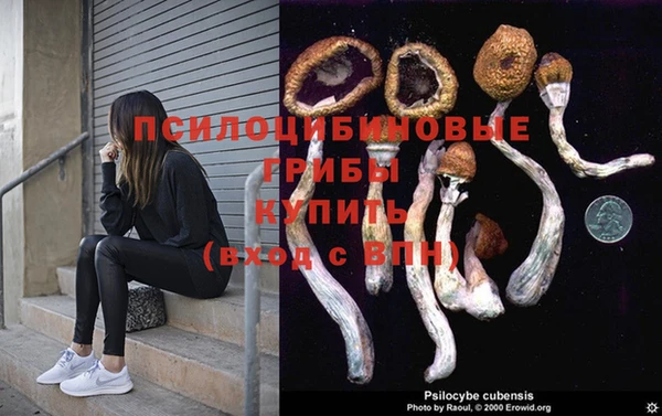 спиды Балахна