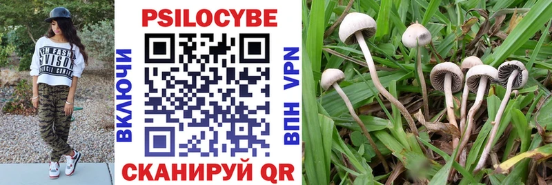закладка  Белёв  Галлюциногенные грибы MAGIC MUSHROOMS 