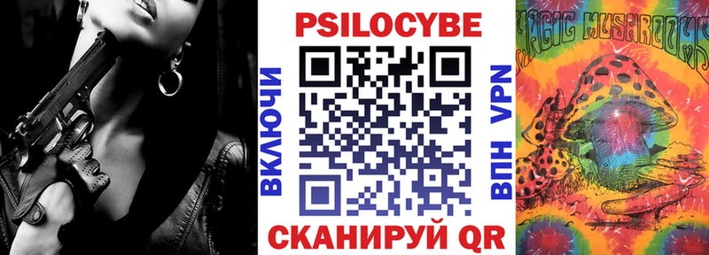 Псилоцибиновые грибы Psilocybine cubensis Белёв